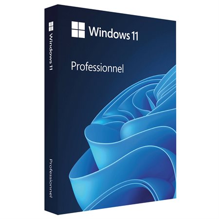 Windows 11 Professional Retail